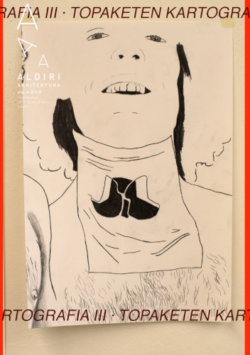 Aldiri 40. Topaketen kartografia III