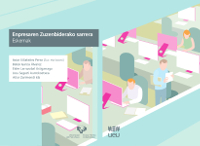 Enpresaren Zuzenbiderako sarrera: eskemak