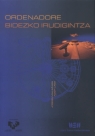 Ordenadore bidezko irudigintza