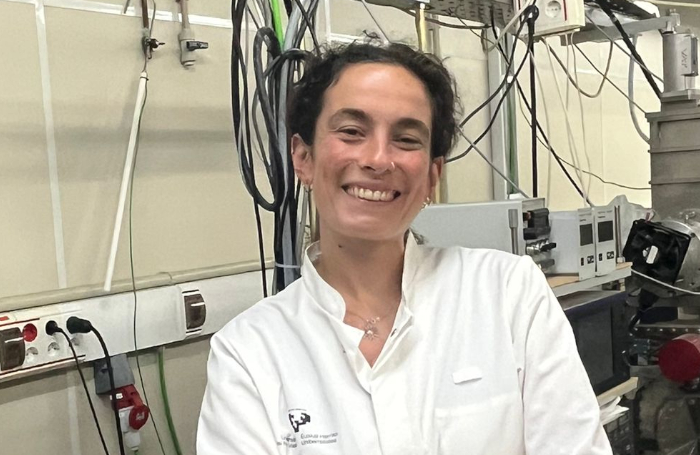 Izaro Solozabal Azcarate: "Burdinazko bortize-konfigurazioa duten nanodisko egokiak aukeratzea ez da lan erraza izan"