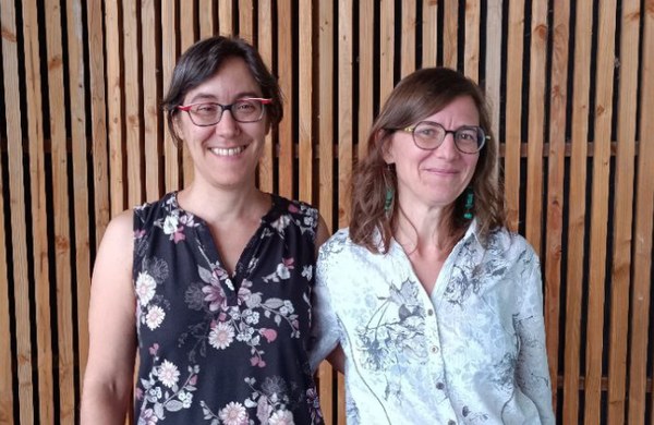 «Gaur egun zokoratuta geratzen ari da literatura, sozialki eta pedagogikoki»