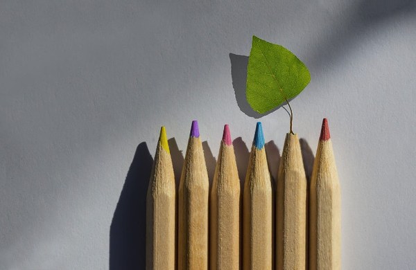 Negu-udaberriko ikastaroak prest 2026