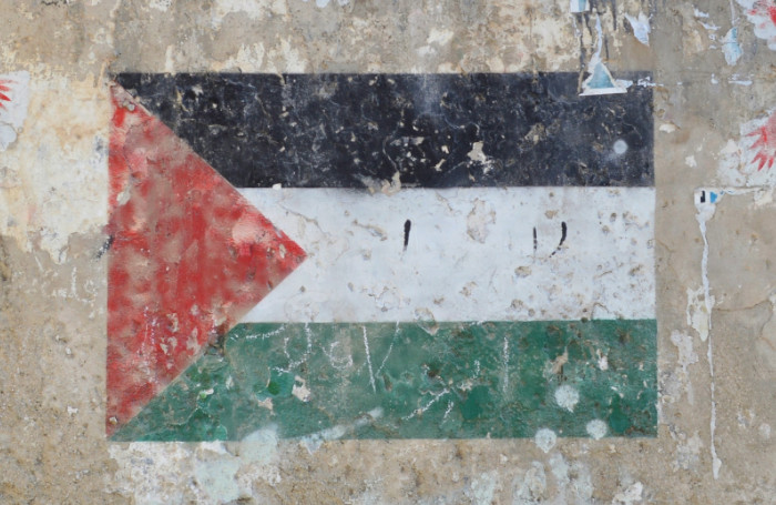 UEUko langileok Talde Eragilearen babesarekin lanuztea egingo dugu gaur Palestinaren alde