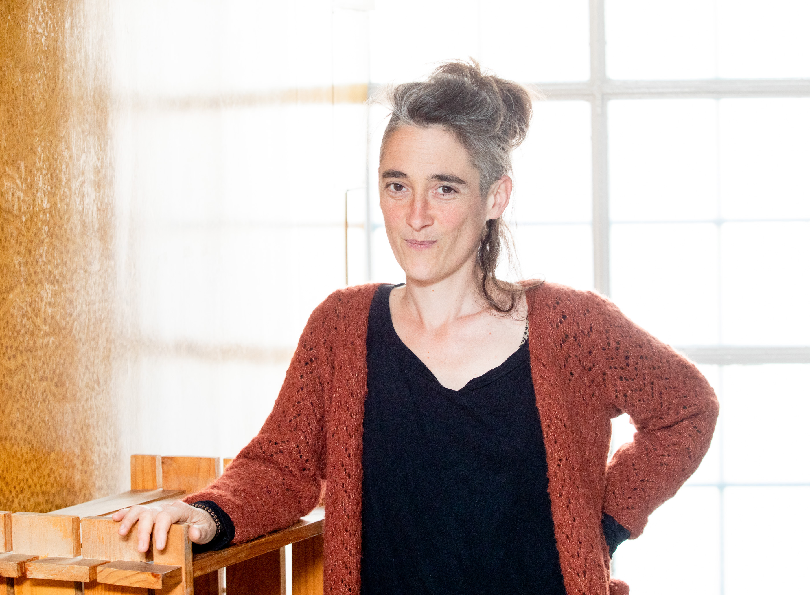 Jenofa Berhokoirigoin Hirigarai