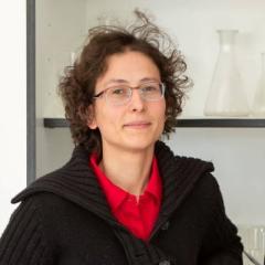 María  Napal Fraile